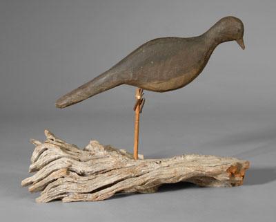 Rare mourning dove decoy, carved
