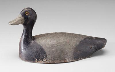 Blue bill drake decoy, head slightly