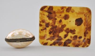 A Natural Shell Box and a Small