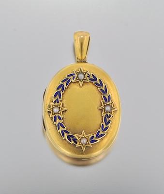 A Lovely Victorian Enamel and Seed b64ec