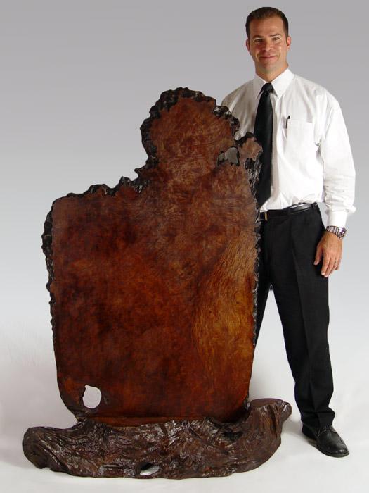 LARGE SPECIMEN OF BURL WALNUT ON b8efd