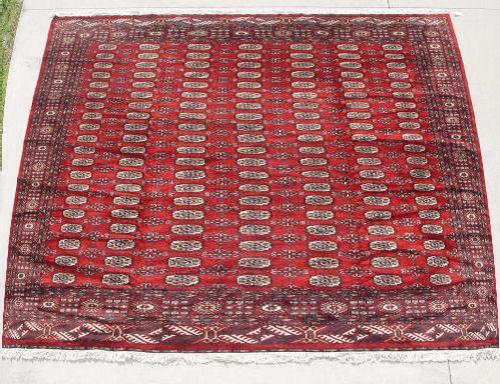HAND TIED BOKHARA RUG: Approx.