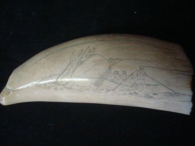 Scrimshaw with Scene of Sperm Whale bdbe9