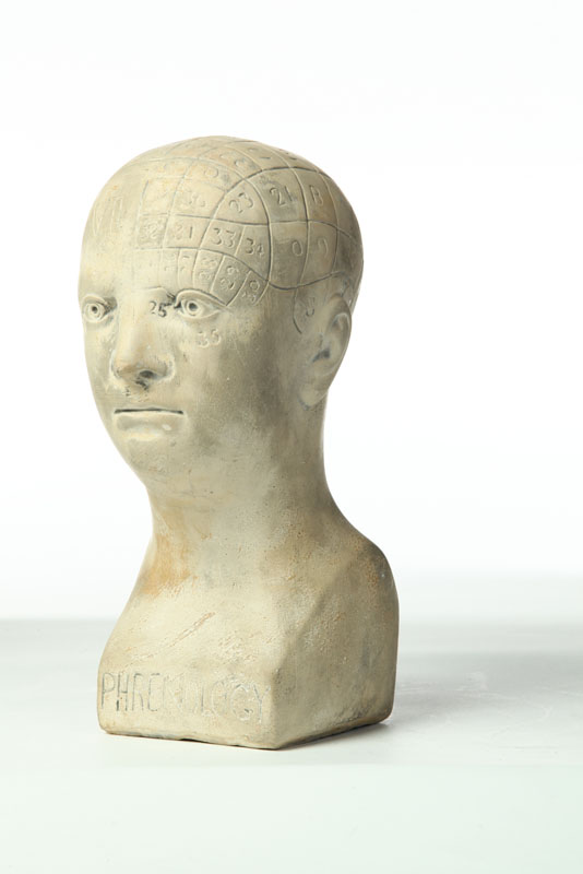 PHRENOLOGY HEAD.  American  2nd