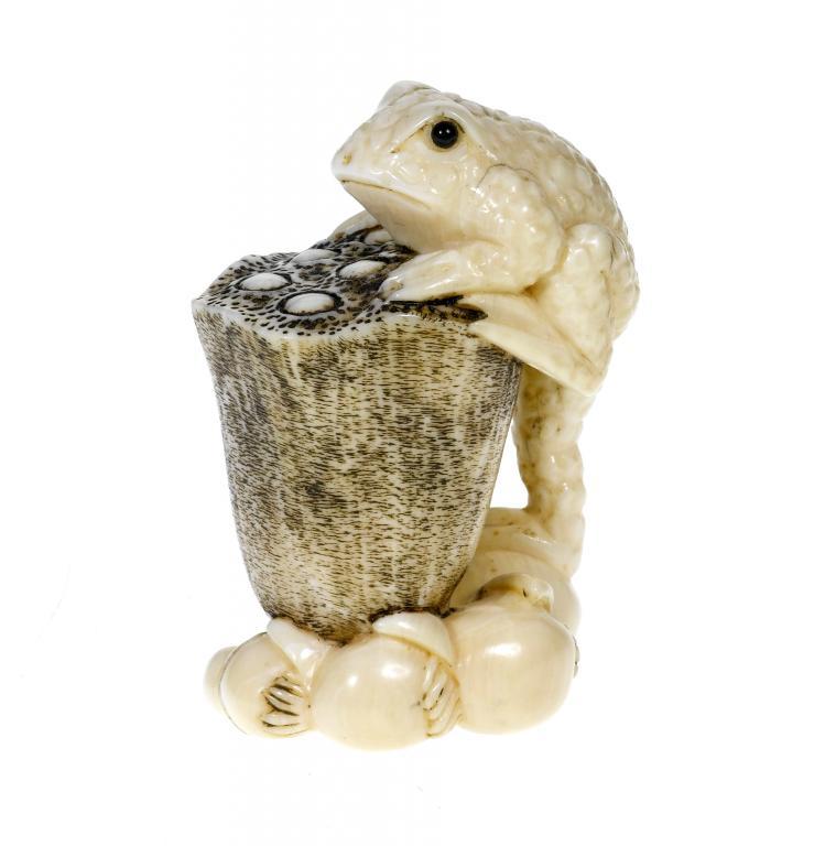 A JAPANESE IVORY NETSUKE OF A TOAD 109616