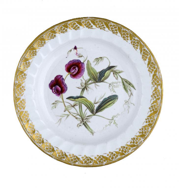 A DERBY BOTANICAL PLATE painted 109711