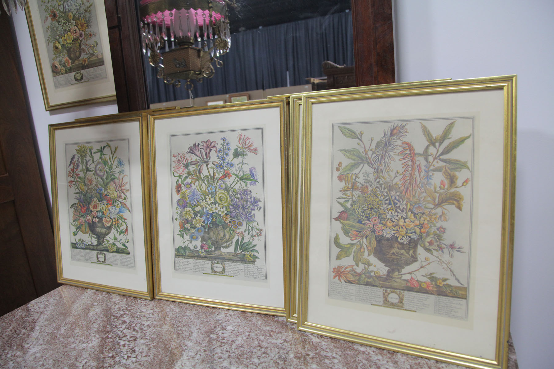 NINE FRAMED BOTANICAL PRINTS. 