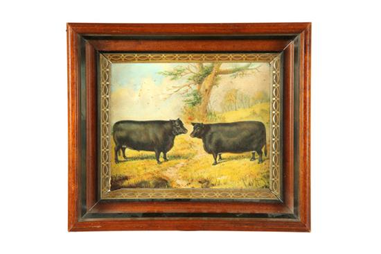 PORTRAIT OF TWO COWS AMERICAN 10a841