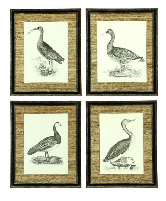 FOUR BIRD PRINTS BY JOHN PRIDEAUX