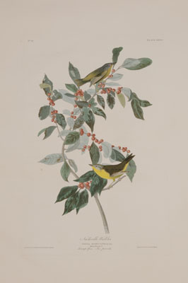 After John James Audubon (New York,