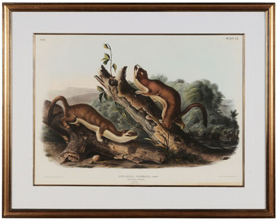 After John James Audubon (New York,