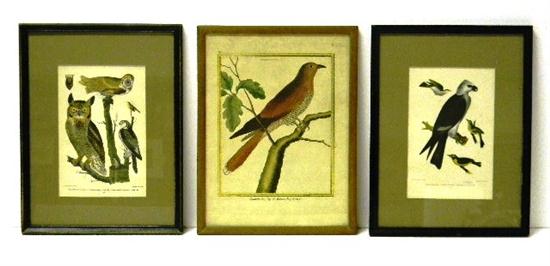 Three ornithological prints including  10f331