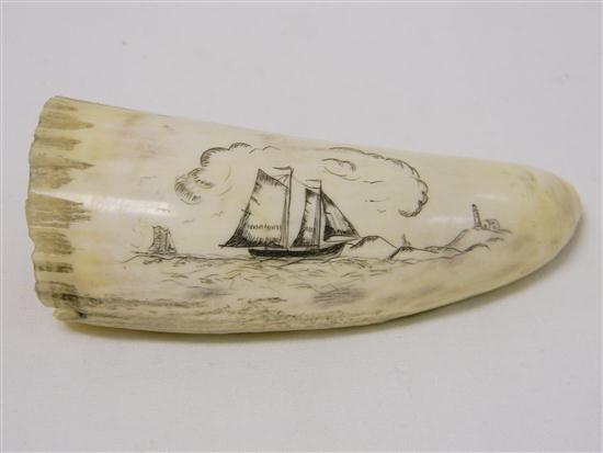 Scrimshaw decorated tooth  sailing ship