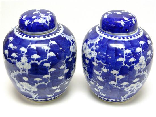 Pair blue and white Asian porcelain