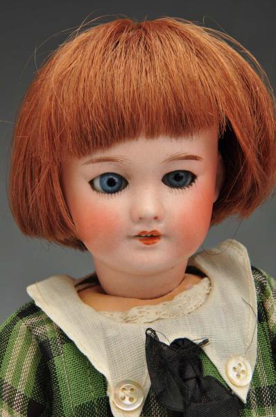 Bleuette Doll. 
Description French