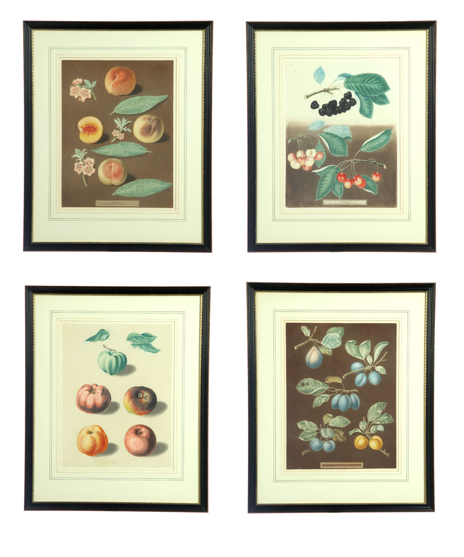 FOUR FRUIT PRINTS.  American or