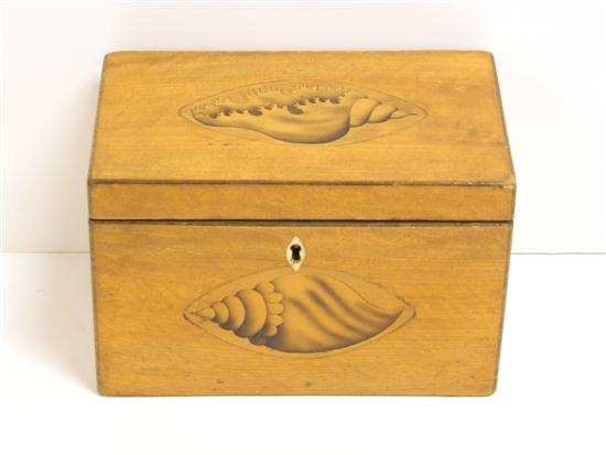 19th C. tea caddy  conch shell