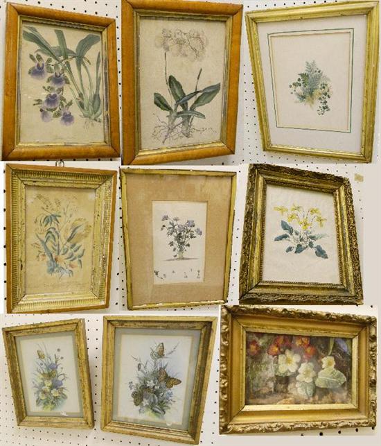 Four floral prints in gilt frames 1152b6