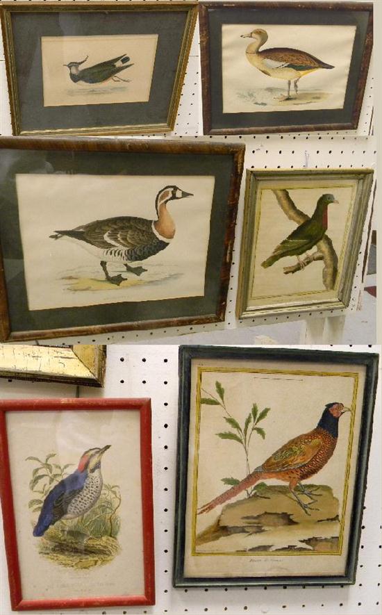 Six bird prints including geese