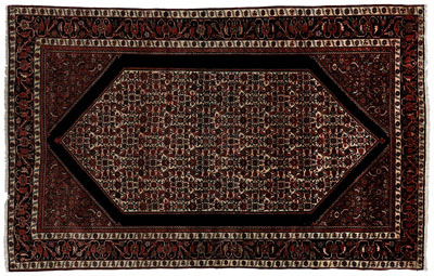Ferahan Sarouk rug, intricate overall