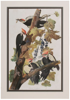 After John James Audubon (New York,