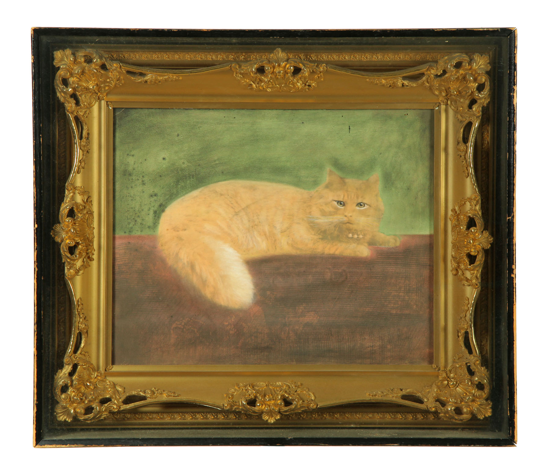 PORTRAIT OF A CAT (AMERICAN  2ND HALF-19TH