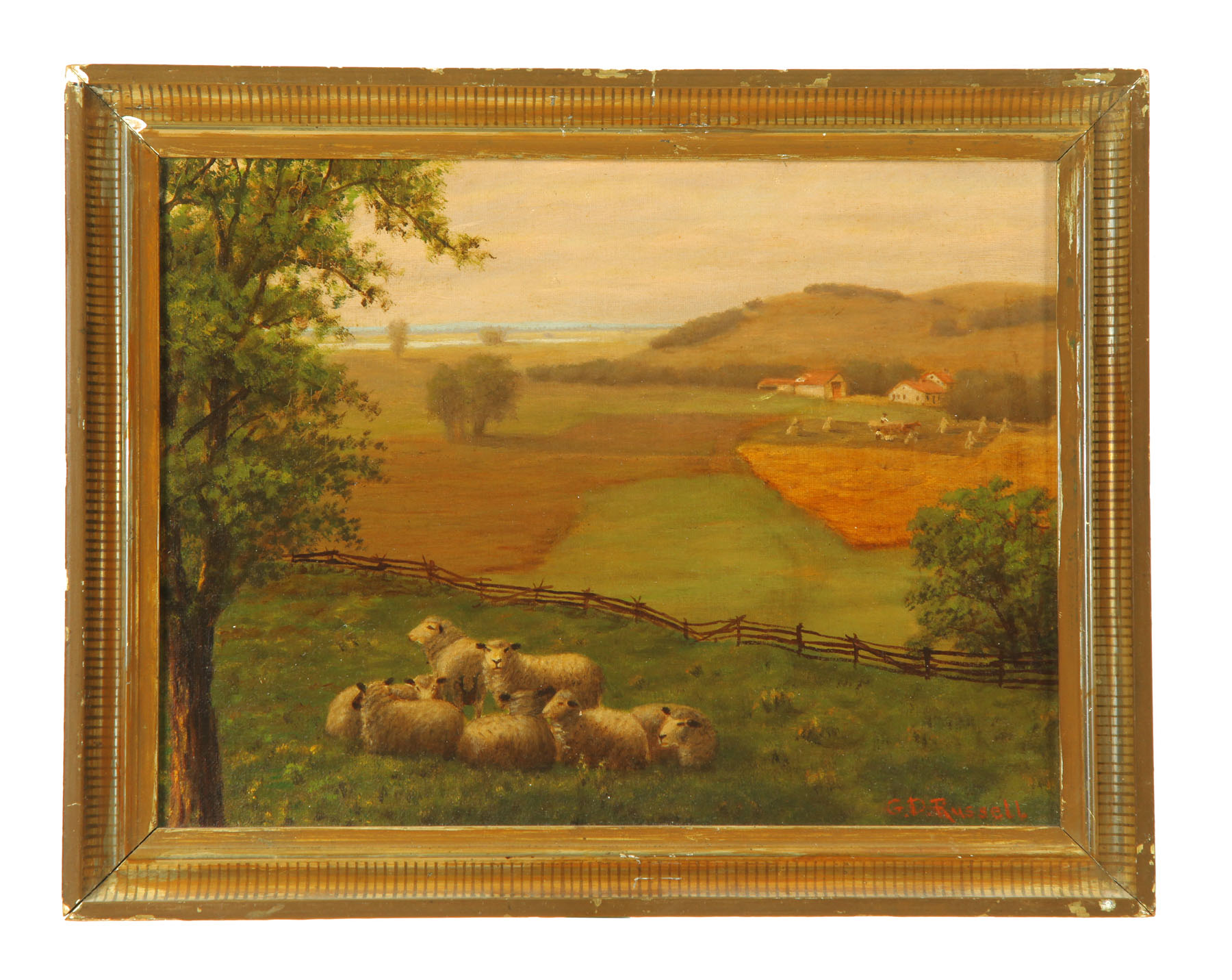 LANDSCAPE WITH SHEEP SIGNED G.D.