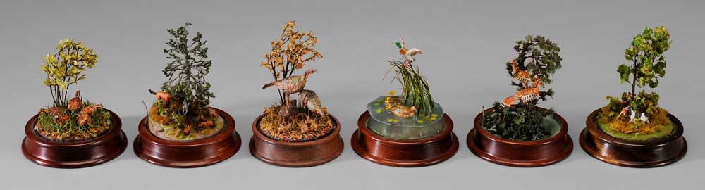 Six Miniature Wildlife Dioramas 11aa14