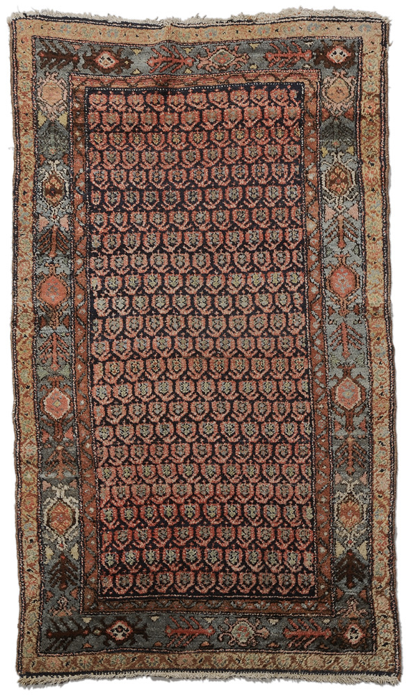 Hamadan Rug Persian mid 20th century  11951c