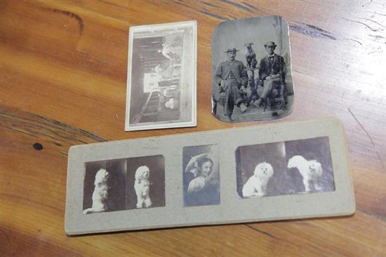 THREE ANTIQUE PHOTOGRAPHS WITH 121eaa