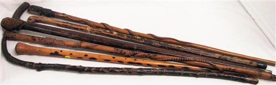 Seven walking sticks: two with