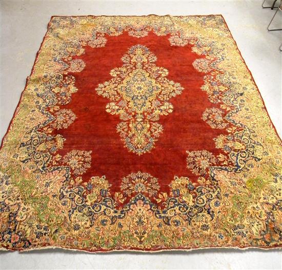 Persian Kirmen  camel field with