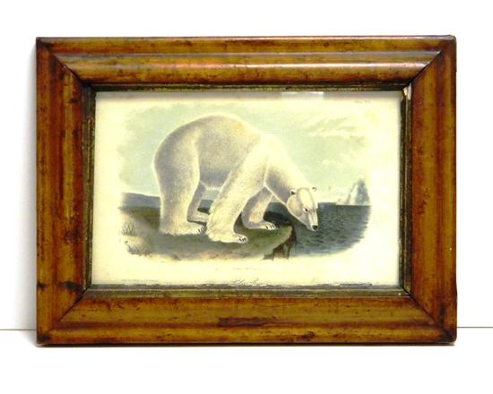 J. T. Bowen  lithograph  Polar Bear