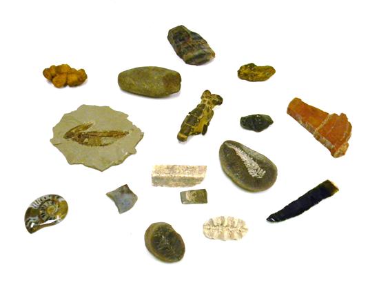 Geological specimens sixteen pieces 120f91