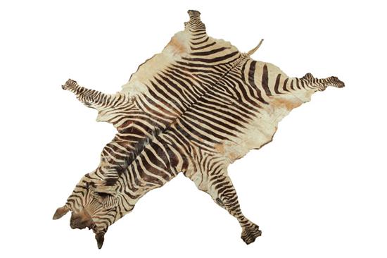 ZEBRA SKIN RUG African 1st half 20th 122bea