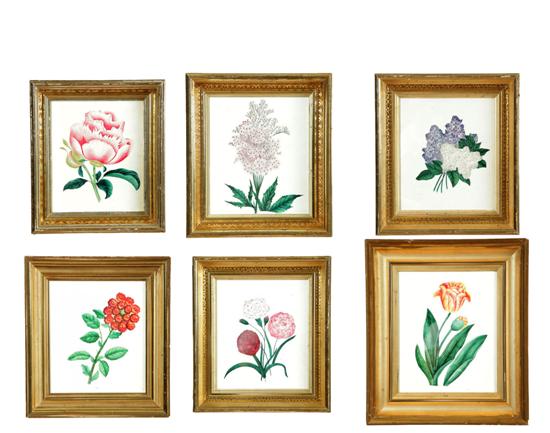 SIX BOTANICAL PAINTINGS AMERICAN 122c50