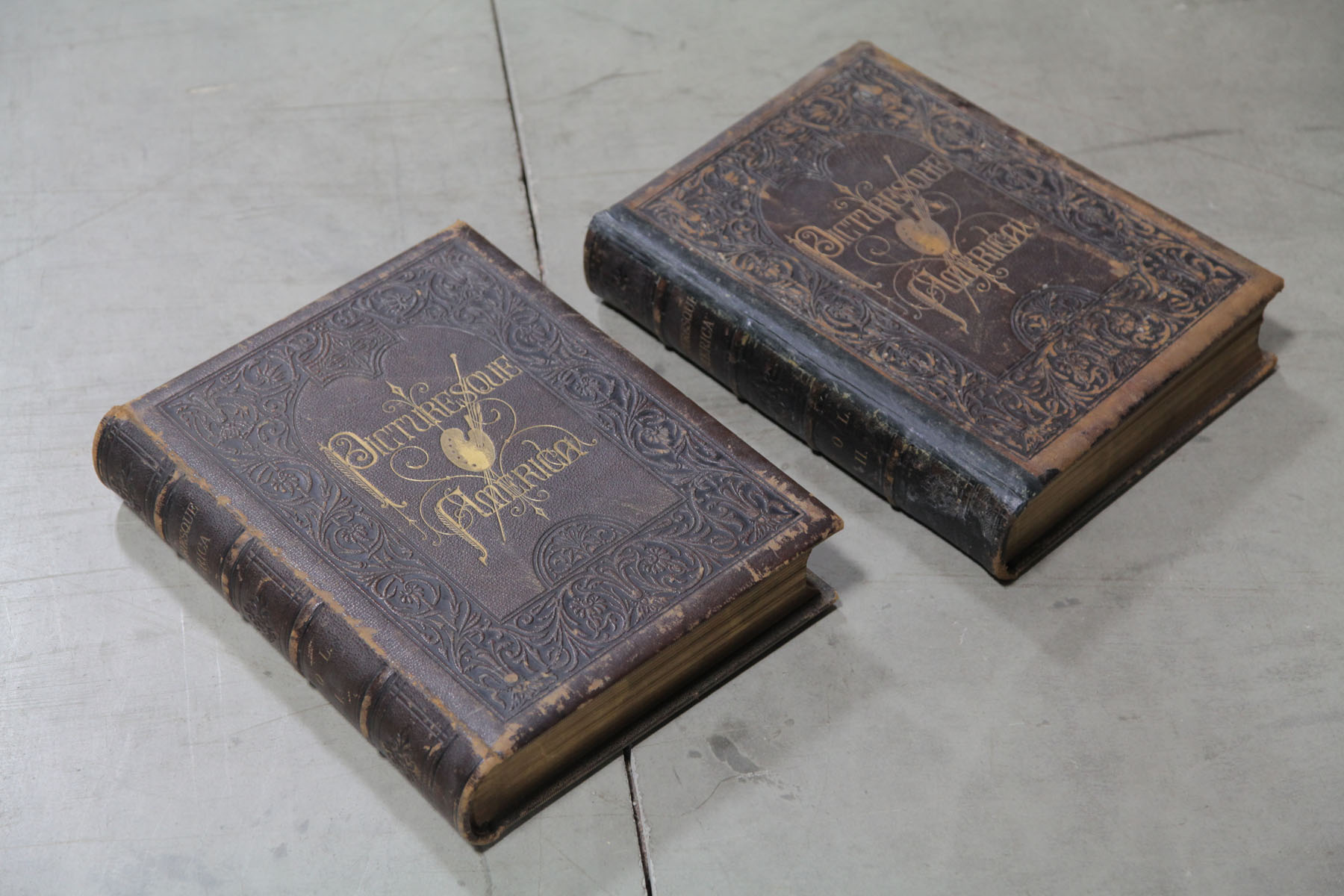 VOLUMES I AND II OF PICTURESQUE AMERICA.