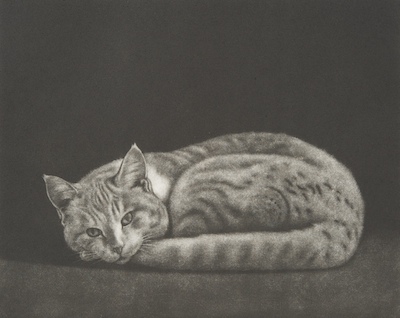 Kawaguchi (Japanese 20th Century) Cat.