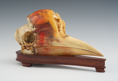 A Carved Hornbill Skull ca. 19th