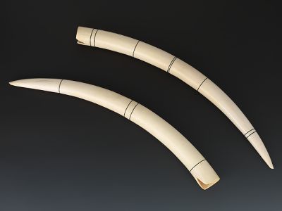 A Pair of Ivory Tusks A fine pair