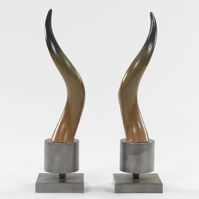 A Pair Natural Horns on Steel Bases