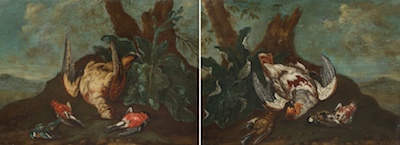 A Pair of Gamebird Oils on Panel 131dcc