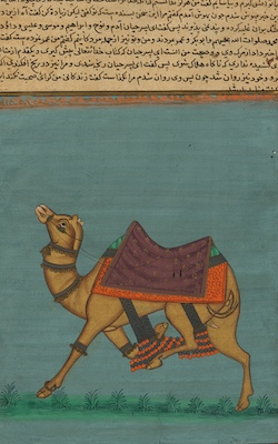 An Indian Illuminated Manuscript 131e09