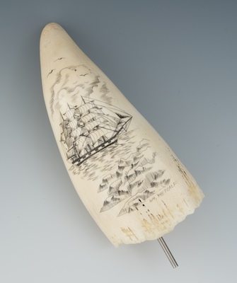 Ivory Scrimshaw by William Metcalf 13219f
