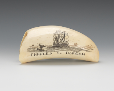 A Scrimshaw Whales Tooth Incised with