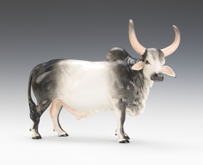 Large Boehm Brahman Bull Large black