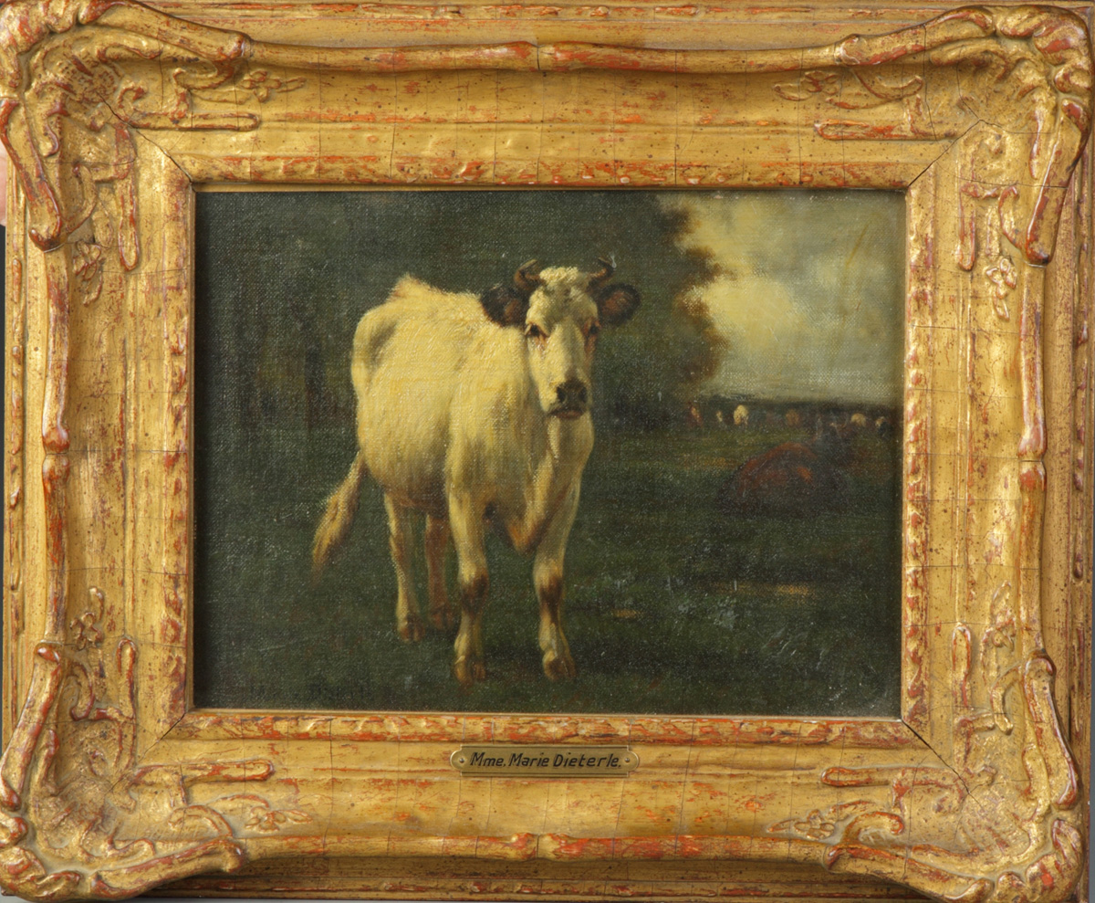 Mme Marie Dieterle Cow in pasture 135117