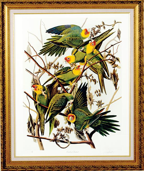 John James Audubon (after) New