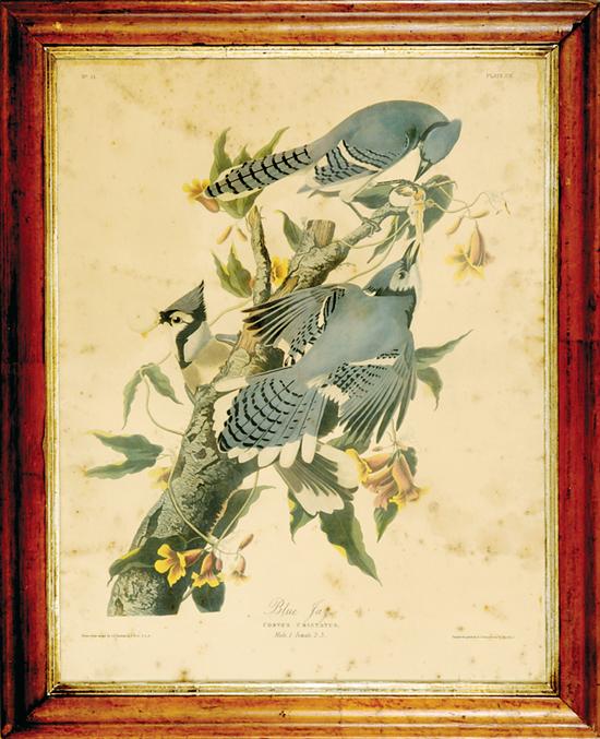 John James Audubon (after) New York