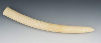 An Ivory Tusk The 17"L natural